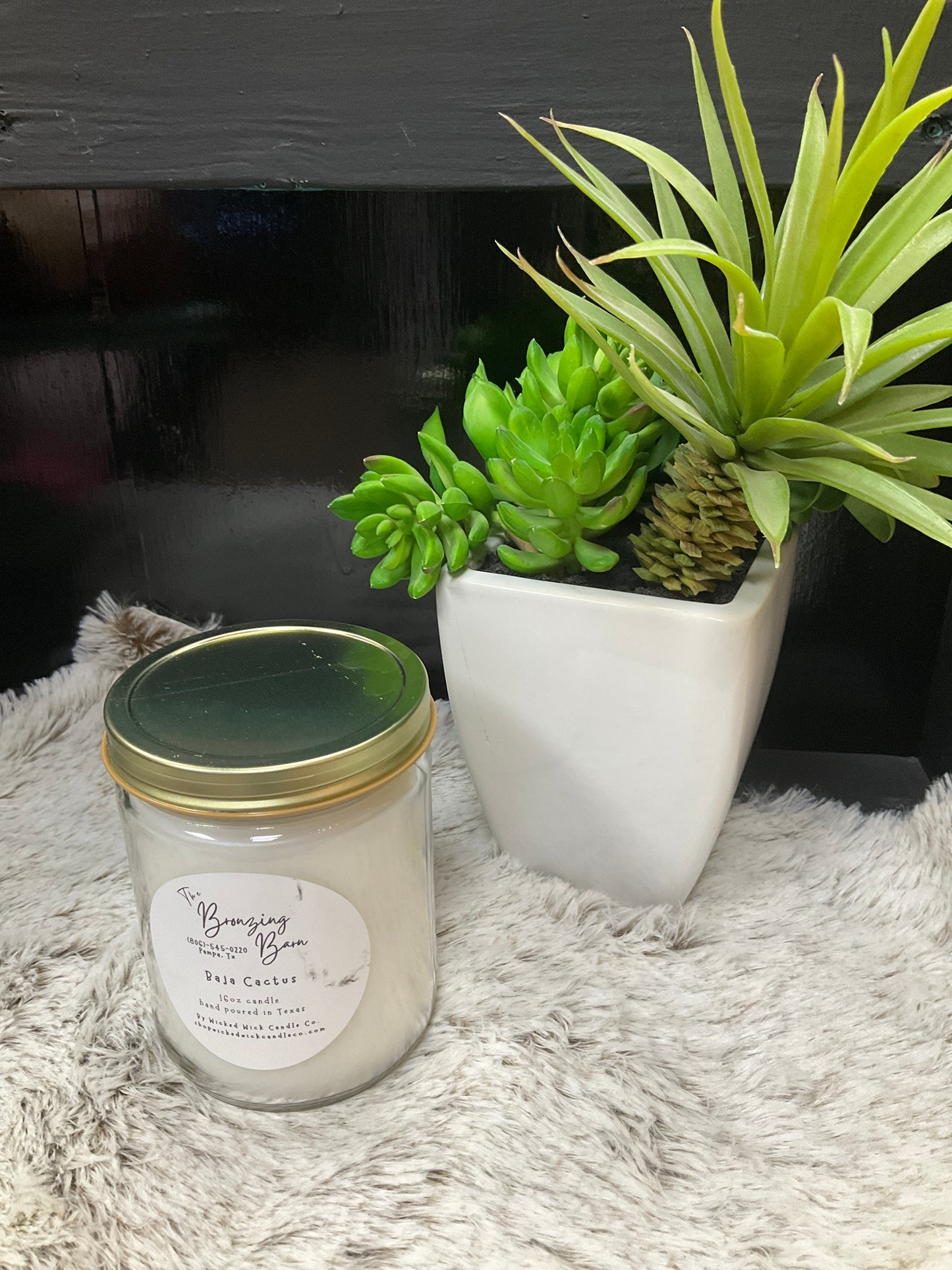 Baja Cactus 16 oz candle